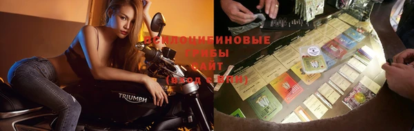 экстази Михайлов