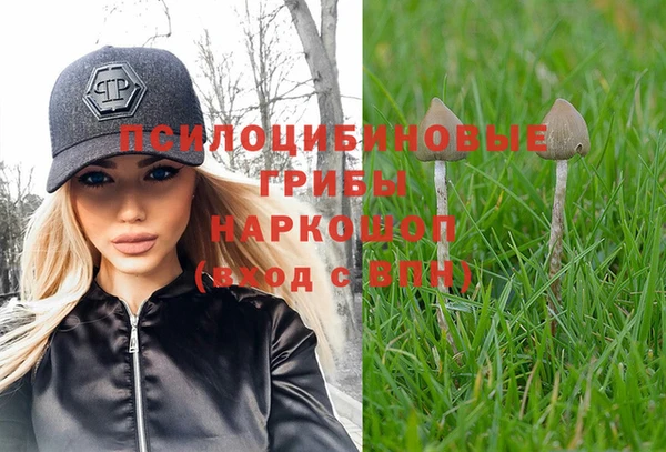 мдпв Михайловка