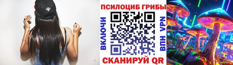 Псилоцибиновые грибы мицелий  где продают   Опочка 